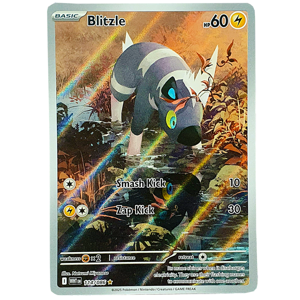 POKÉMON TCG - Blitzle Illustration Rare - 114/086