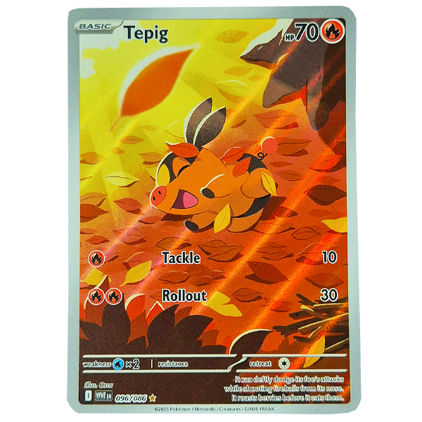 POKÉMON TCG - Tepig Illustration Rare - 096/086