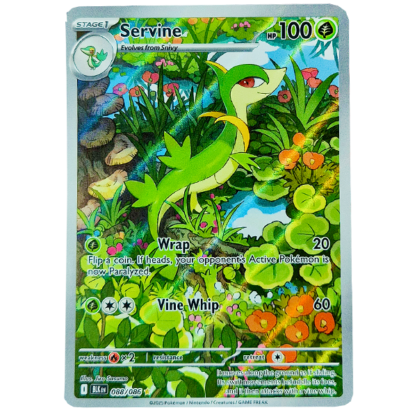 POKÉMON TCG - Servine Illustration Rare - 088/086