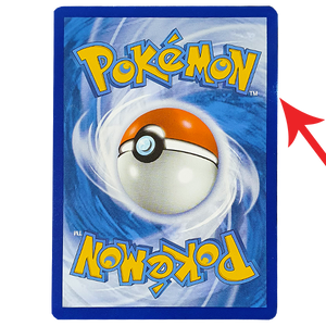 POKÉMON TCG - Squirtle Illustration Rare - 148/142