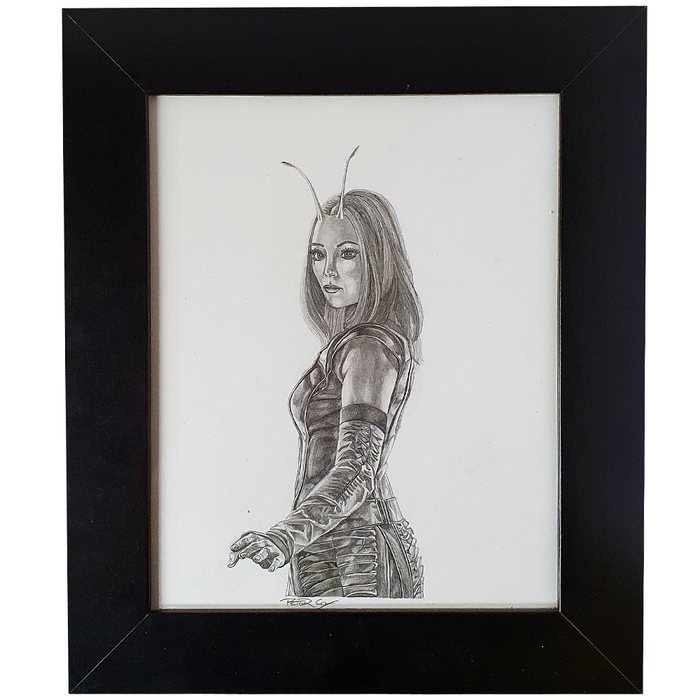 Artwork - Fine Art Pencil Sketch A4 with Frame - 'Mantis'